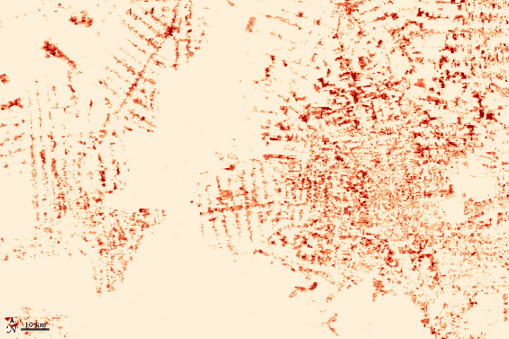 Map of deforestation between 2008 and 2000.